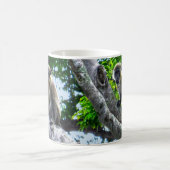 Mug de singes verts de la Barbade (Centre)