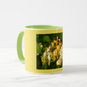 Mug de suckie de miel Rose sauvage (Devant gauche)