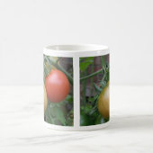 Mug de tomates orange et rouge (Centre)