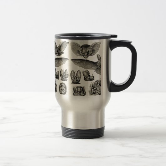 Mug De Voyage Chiroptera de Haeckel (Droit)