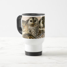 Collage de hibou vintage