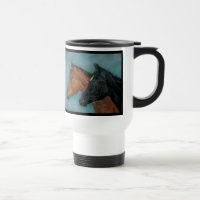 colt de chestnut noir chevaux portrait équine