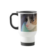 Comment tu félines ?