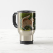 Mug De Voyage Drôle Surpris Ginger Kitten. Quelle merde ? (Devant gauche)