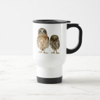 Duo de hibou