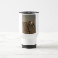 Forage Mars Curiosity Red Martian Paysage