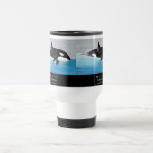 Mug De Voyage Killerwhale , Orcinus orca (Centre)