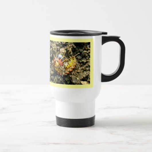 Mug De Voyage Millipede Polydesmida (Sigmoria aberrans) (Droite)