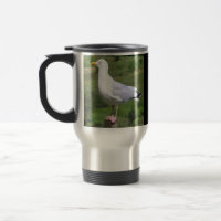 Mouette debout champ d'herbe prairie faune sauvage