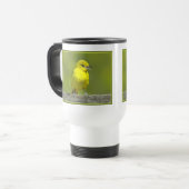 Mug De Voyage Orchard Oriole - Photo originale (Devant gauche)