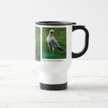 Photo rare de corbeau blanc dans la faune
