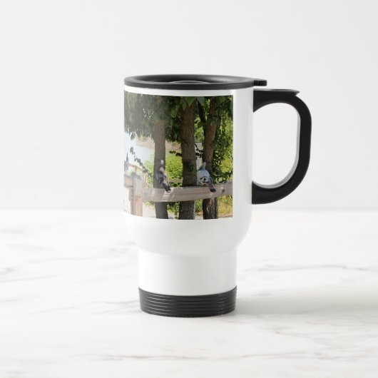 Mug De Voyage Pigeons sur une clôture (Droite)
