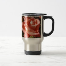 Rose rose pêche