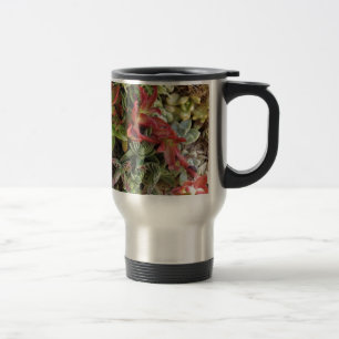 Mug De Voyage Succulents colorés