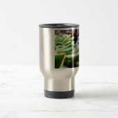 Mug De Voyage Variété Cactus (Centre)