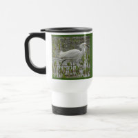 White Egret Photo Nature Thème Elegant Wading Bird