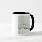 Mug Début du printemps en Antarctique (Devant droit)