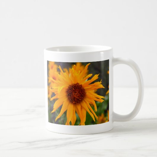 Mug défraîchi (Droite)
