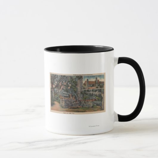 Mug Deland, FL - Ruines de l'ancienne usine espagnole  (Droite)