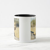 Mug Delta d'Okavango, Botswana 2 (Centre)