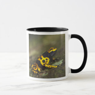Mug Dendrobate à bandes jaunes Dendrobates