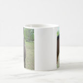 Mug des chevaux (Centre)