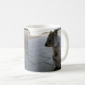 Mug "Des coups de bâton en Australie : une Quokka gris (Devant droit)