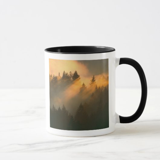 Mug Des séquoias dans le brouillard côtier, comté de M (Droite)