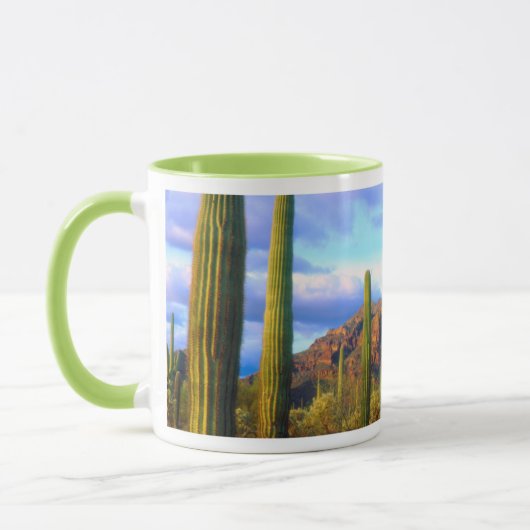 Mug Désert au printemps (Gauche)