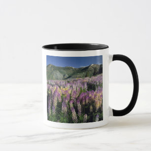 Mug DÉSERT DE JARBIDGE, NEVADA. États-Unis. Lupin éper