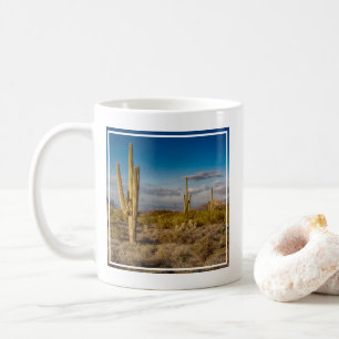 Mug Deserts Superstition Mountains, Arizona