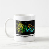 Mug Déshydrogénase de succinate (chimie) (Gauche)