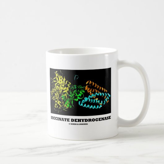 Mug Déshydrogénase de succinate (chimie) (Droite)