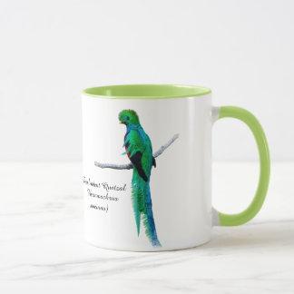Mug Dessin quetzal Illustration d'oiseau Aquarelle
