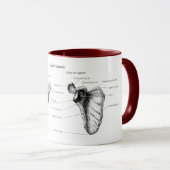 Mug Détails d'omoplate (Devant droit)