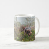 Mug Deutsch Drahthaar (Devant droit)
