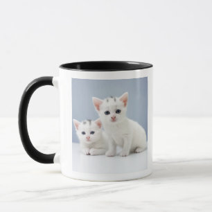 Mug Deux chatons blancs très jeunes regardent fixemen