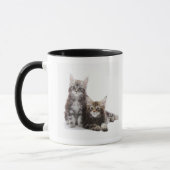 Mug Deux chatons de chat de ragondin du Maine (Gauche)
