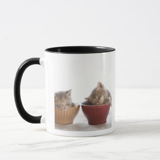 Mug Deux chatons dormant dans des cuvettes (Gauche)