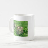 Mug Deux chatons jouant dans l'herbe (Devant gauche)