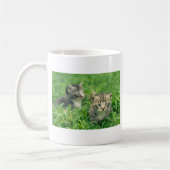 Mug Deux chatons jouant dans l'herbe (Gauche)