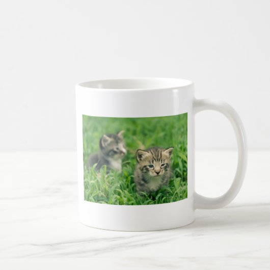 Mug Deux chatons jouant dans l'herbe (Droite)