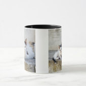 Mug Deux chats sur les étapes en pierre (Centre)