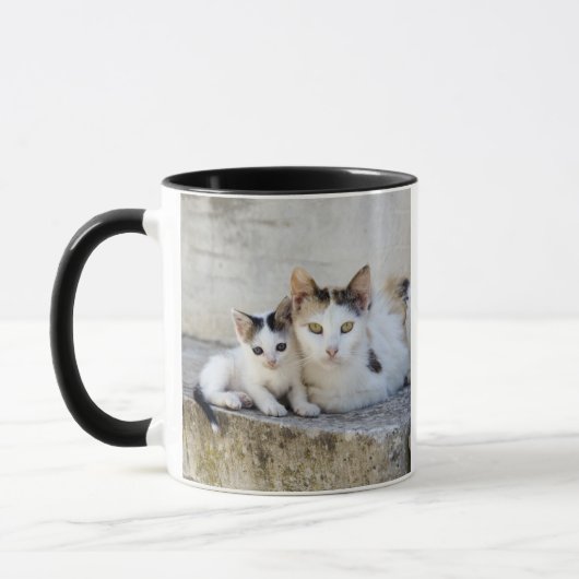 Mug Deux chats sur les étapes en pierre (Gauche)