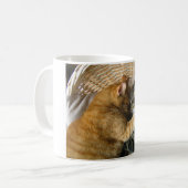 Mug Deux chats tigrés de sommeil caressant (Devant gauche)