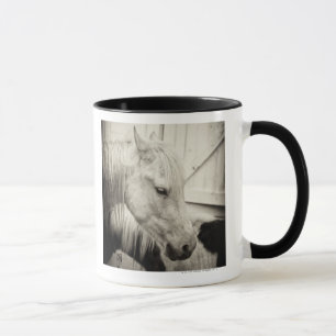 Mug deux chevaux en dehors d'une écurie noire et