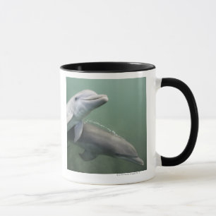 Mug Deux dauphins sous-marins