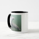 Mug Deux dauphins sous-marins (Devant gauche)