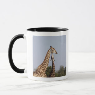 Mug Deux girafe, parc national de Kruger, Afrique du