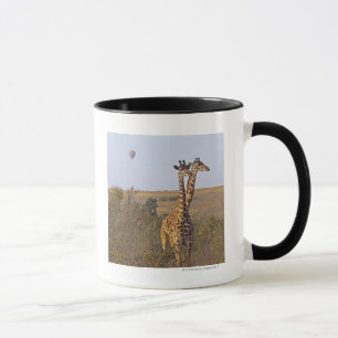 Mug Deux girafes (camelopardalis de Giraffa), masais